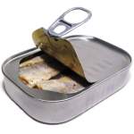 Sardine fish in tin