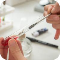 Fertility Blood Test Diagnostic