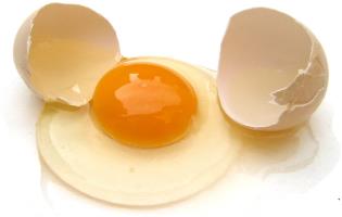 Egg White Cervical Mucus