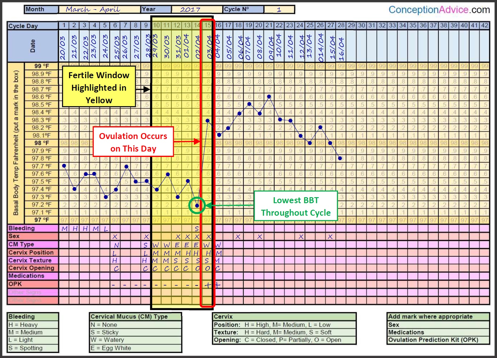 Cervical Mucus Chart Example