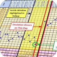 Fertility Chart Sample